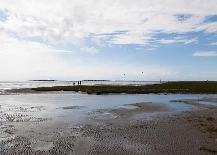 Sonnengold Sonnengold *